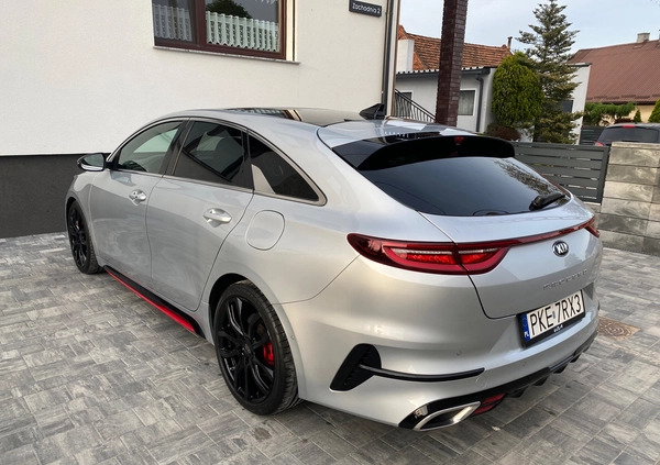 Kia Pro_cee'd cena 107500 przebieg: 49973, rok produkcji 2020 z Kępno małe 232